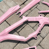 Ultra Bee Frame Gaurds